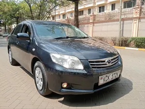 Toyota Axio 2010 Gray
