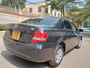Toyota Axio 2010 Gray