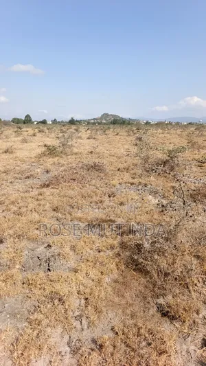 1acre at Koma