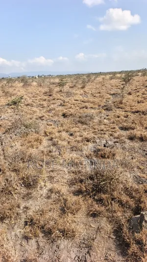 1acre at Koma