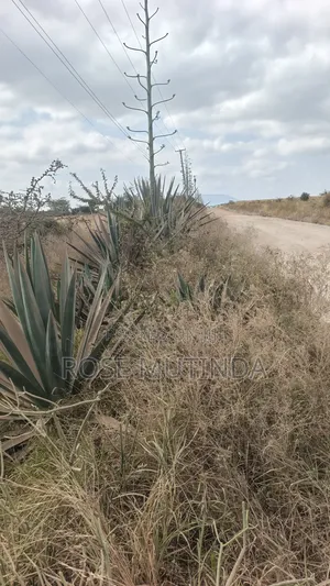 2acres at Koma Kangundo Road