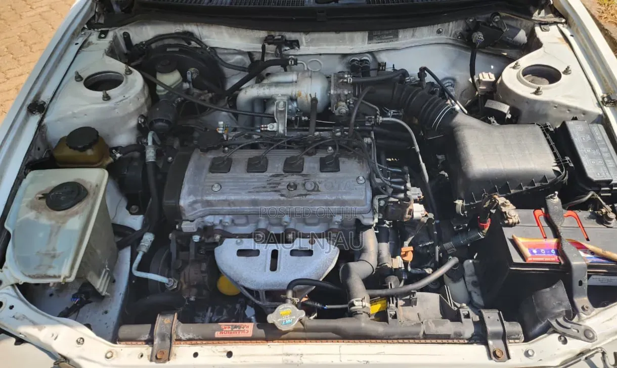 Toyota Corolla 2002 White
