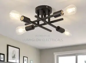 Ceiling Light