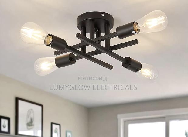 Ceiling Light - main view
