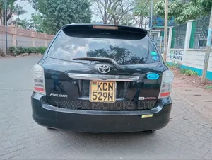 Toyota Corolla Fielder 2010 Black