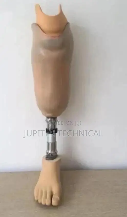 Artificial Leg