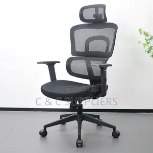 High Back Orthopedic Chair With Adjustable Arms