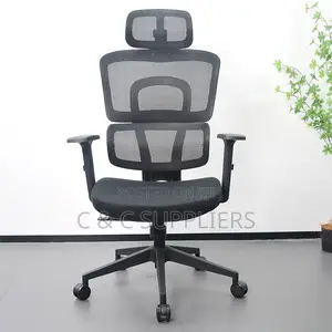High Back Orthopedic Chair With Adjustable Arms