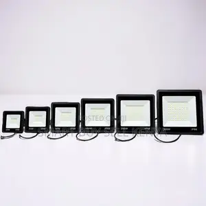 Heavy- Duty Rugged 300W,100W,50W,30W AC Electric LED Flood Light