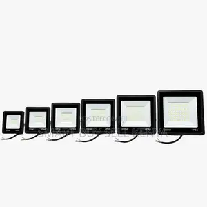 Long-Lasting Premium 200W,100W,50W,30W AC Electric LED Flood Light