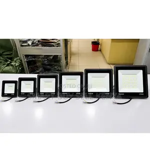 Eco-Friendly Efficient 300W,100W,50W,30W AC Electric LED Flood Light