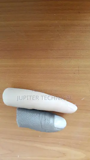 Artificial Leg
