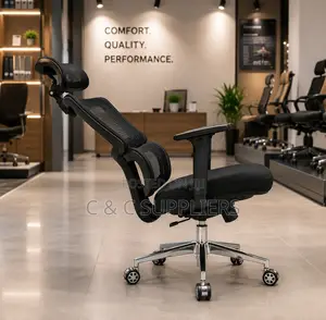 Imported Modern Orthopedic Staff Chair