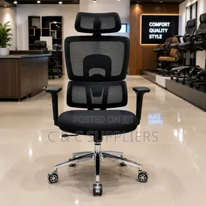 Imported Modern Orthopedic Staff Chair
