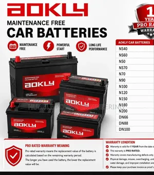 Maintenance Free Car Batteries