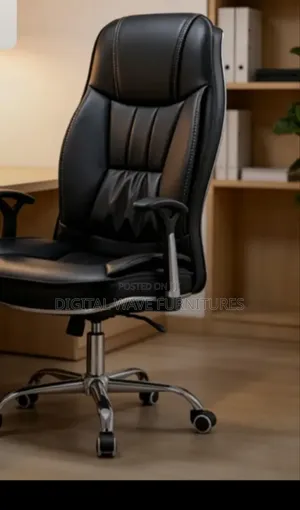 Leather Office Chair/Office Chair