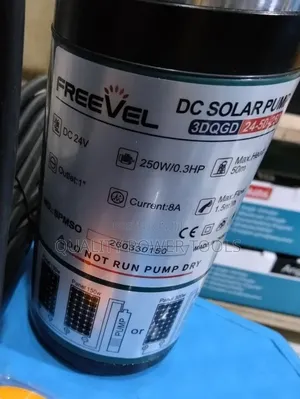 Freevel 3dqgd24-50-250 DC Solar Water Pump.