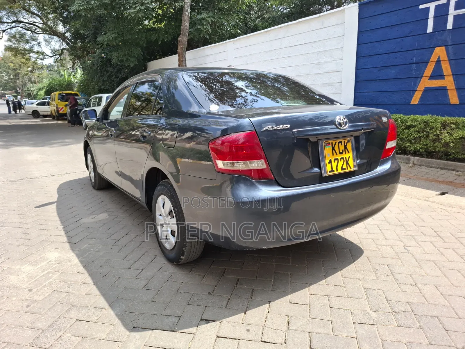 Toyota Axio 2010 Gray