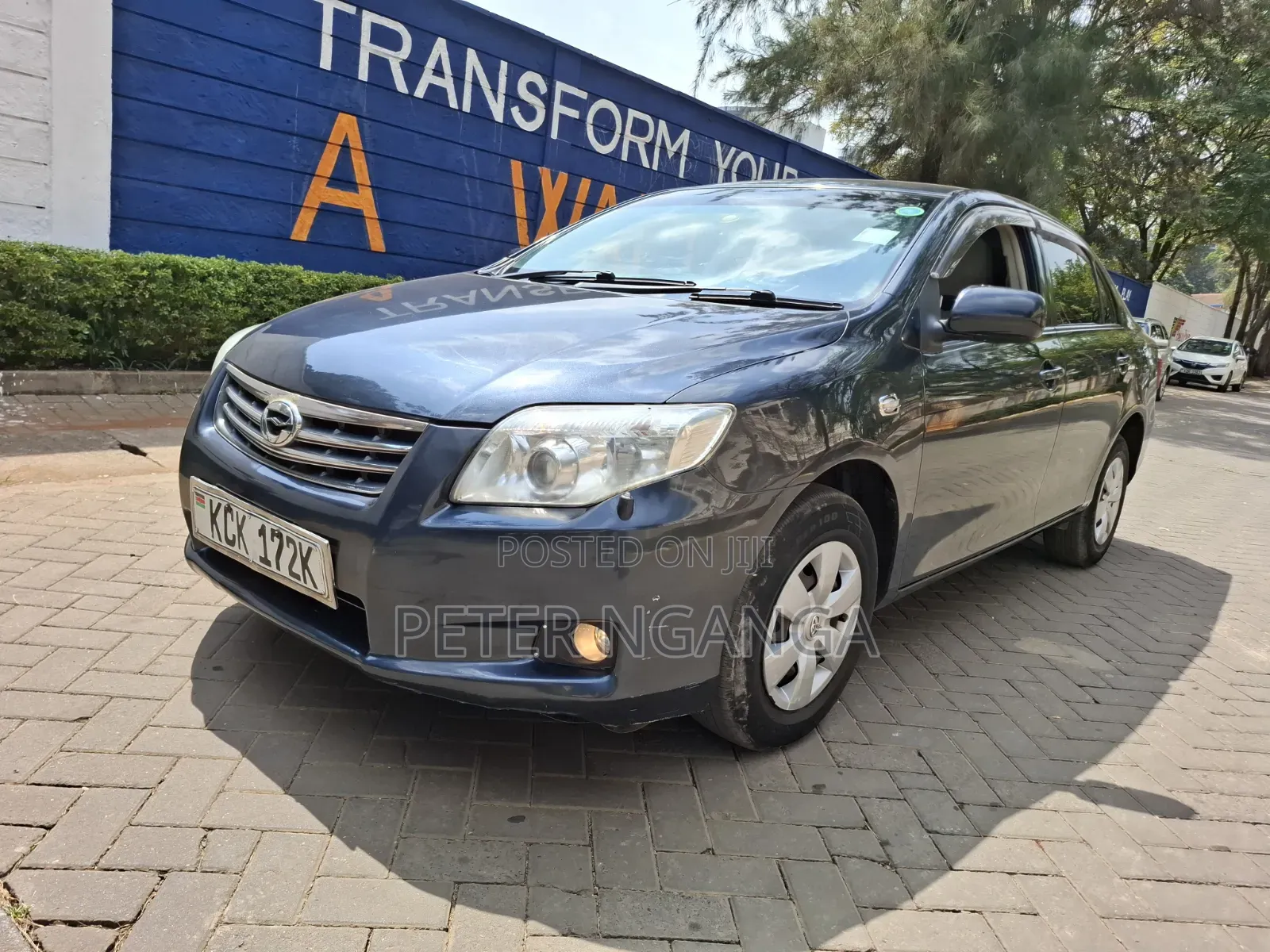 Toyota Axio 2010 Gray