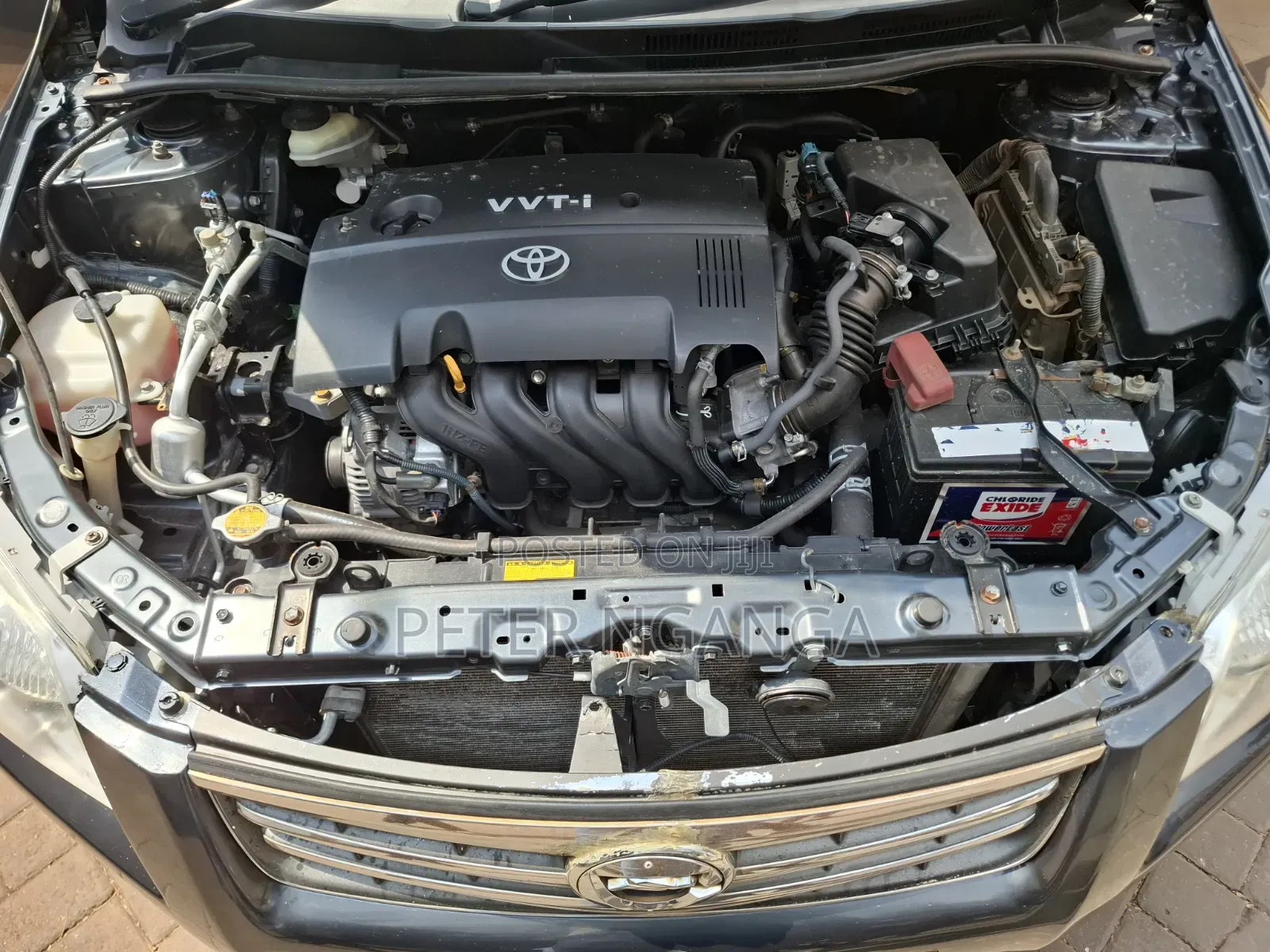 Toyota Axio 2010 Gray