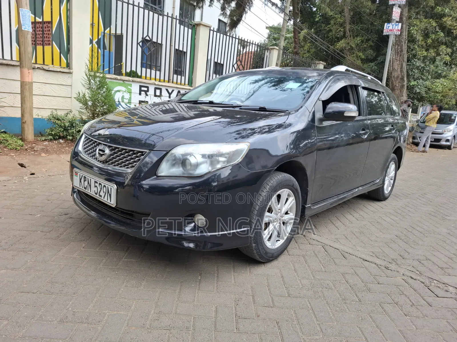 Toyota Corolla Fielder 2010 Matt Black