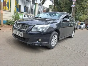 Toyota Corolla Fielder 2010 Matt Black