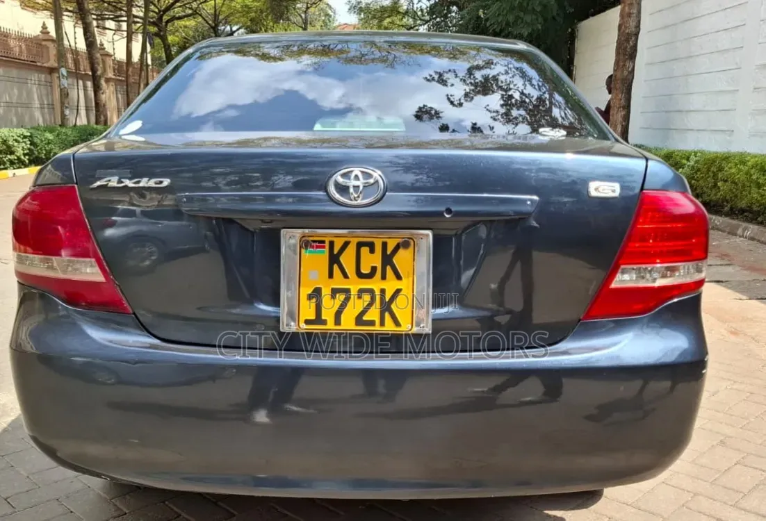 Toyota Axio 2009 Gray