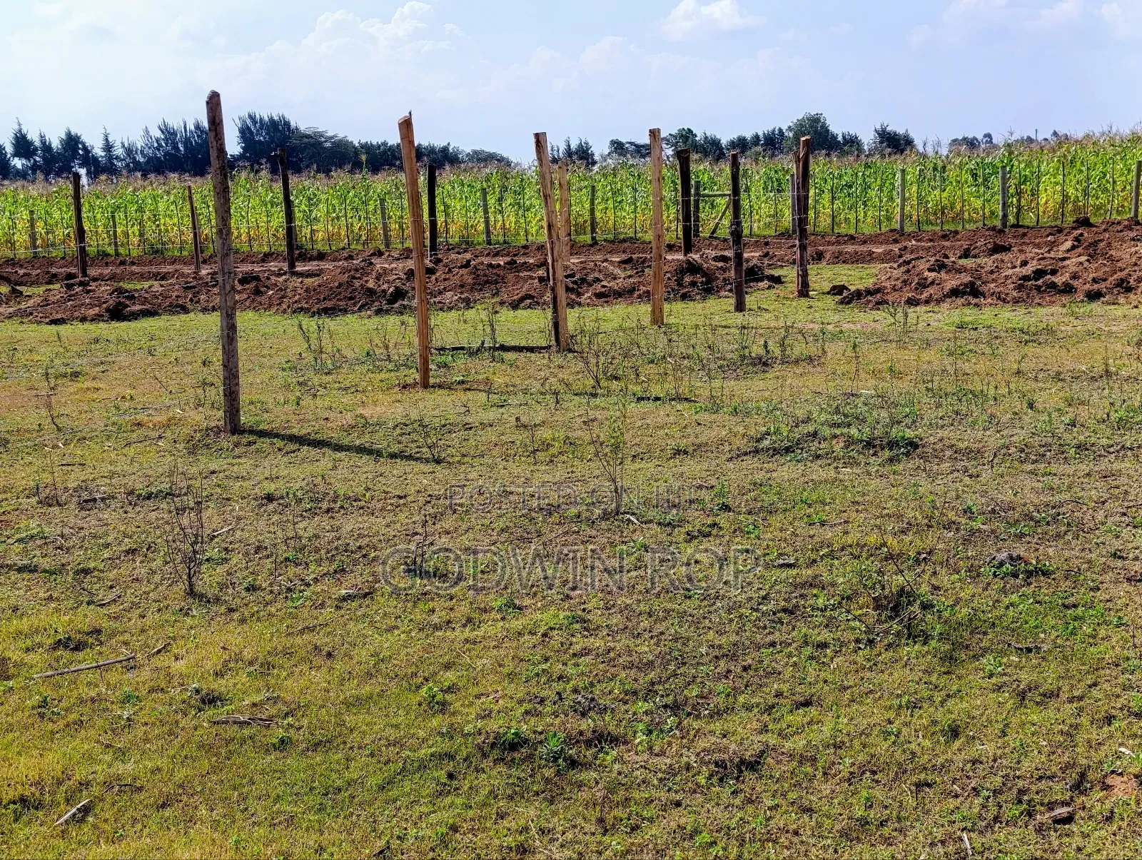 Plots for Sale in Illula
