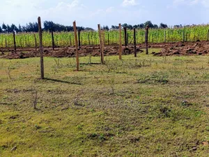 Plots for Sale in Illula
