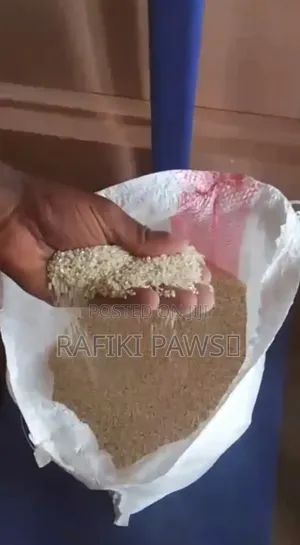 Cat and Dog Rice
