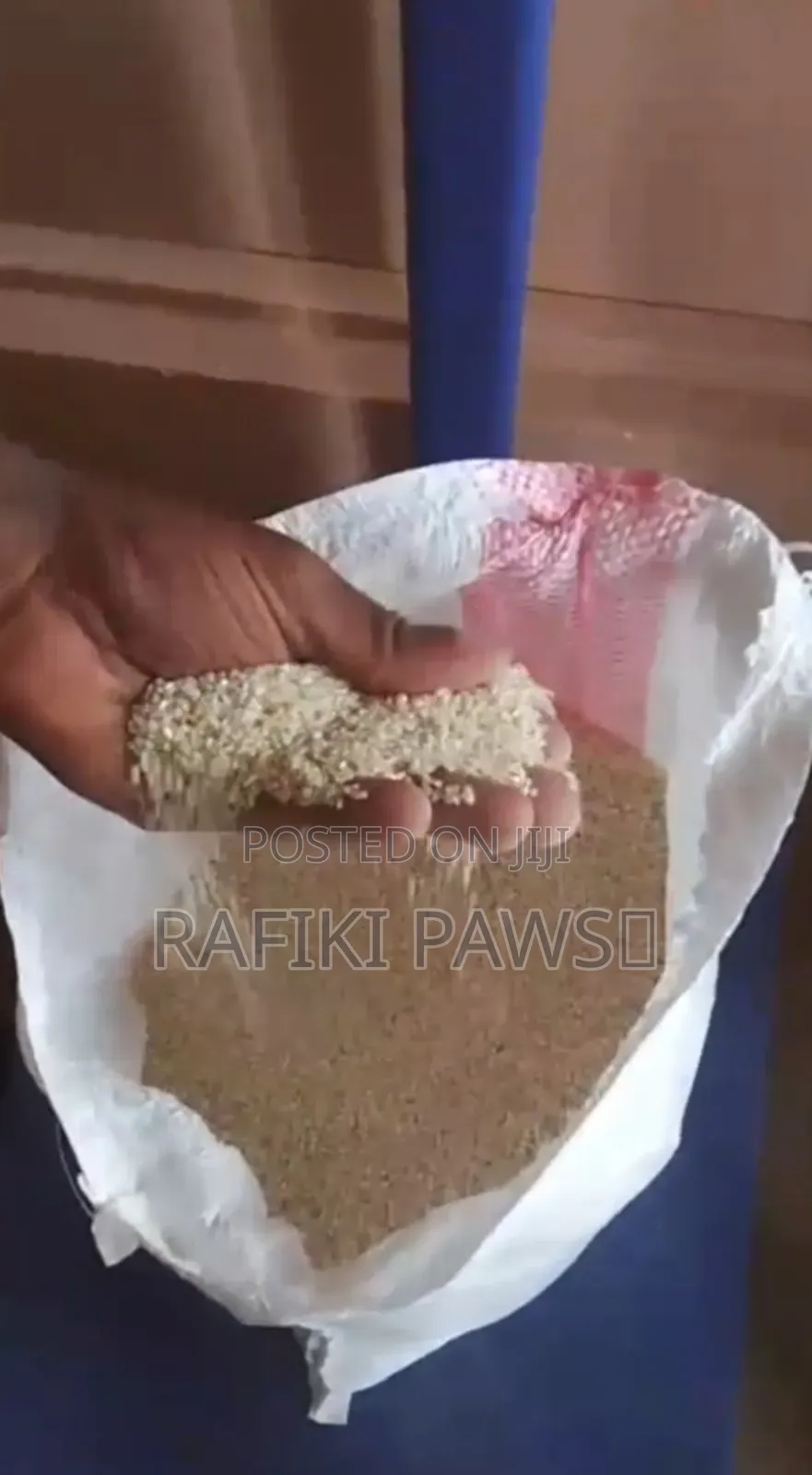 Cat and Dog Rice