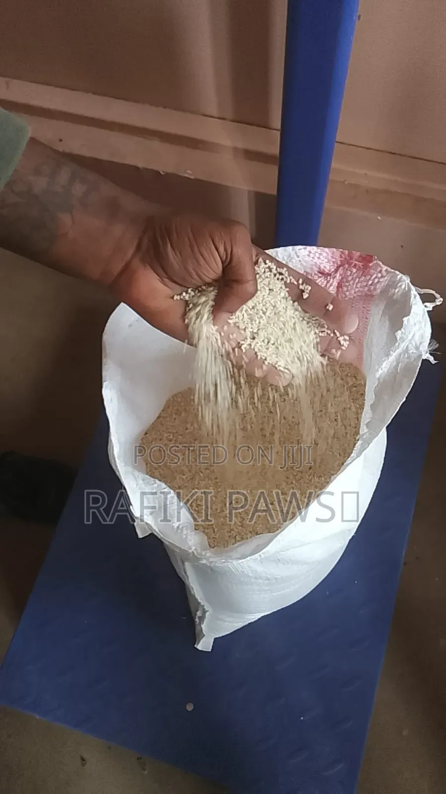 Cat and Dog Rice
