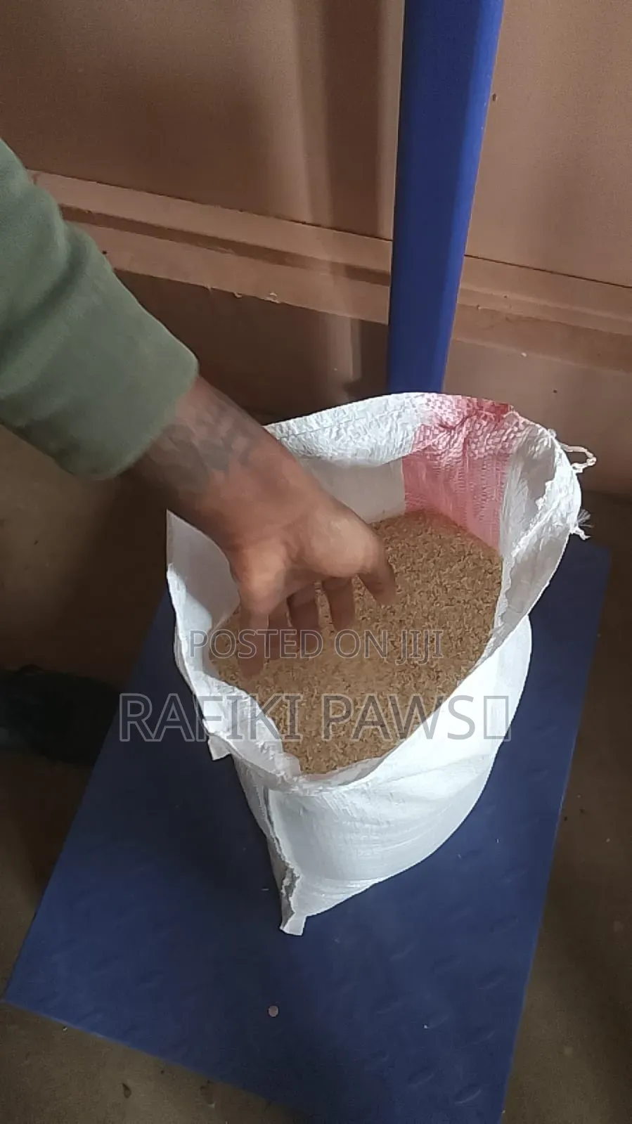 Cat and Dog Rice
