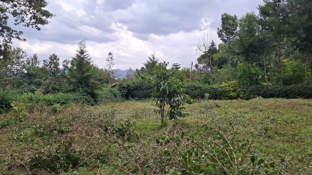 Prime 100 X 100 Plot for Sale: Olkeri - main view