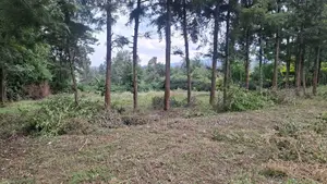 Prime 100 X 100 Plot for Sale: Olkeri