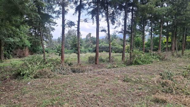 Prime 100 X 100 Plot for Sale: Olkeri - thumbnail 2