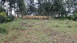 Prime 100 X 100 Plot for Sale: Olkeri