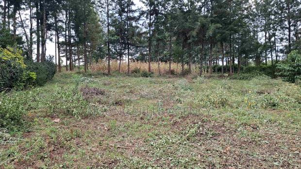 Prime 100 X 100 Plot for Sale: Olkeri - thumbnail 3