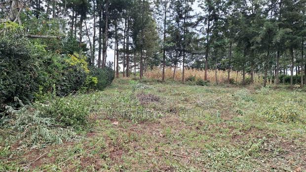 Prime 100 X 100 Plot for Sale: Olkeri - thumbnail 5