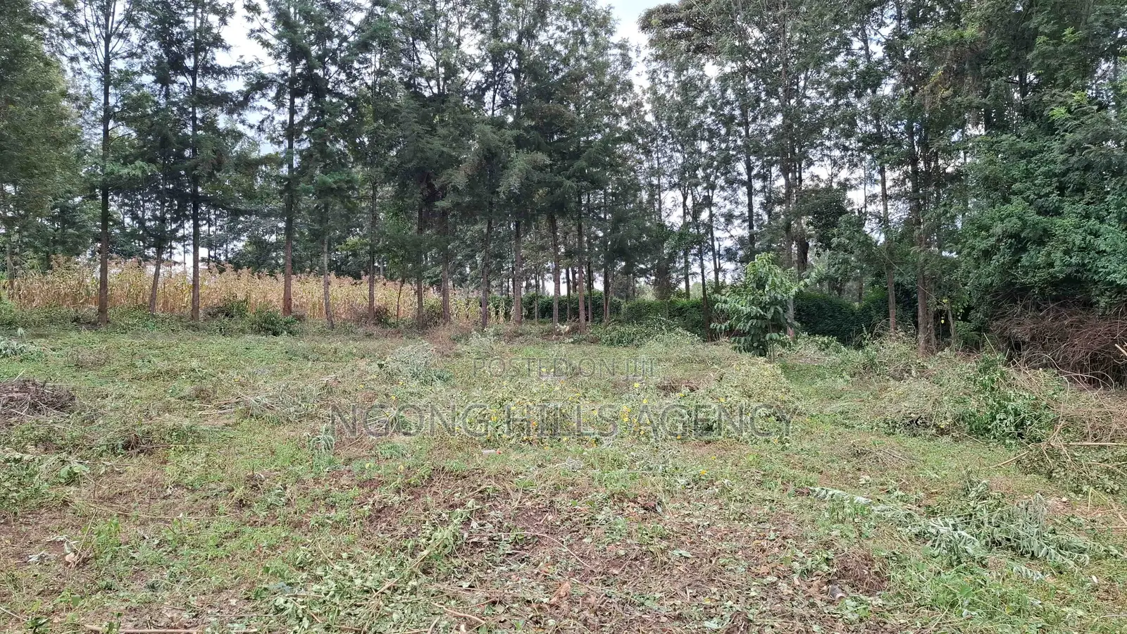 Prime 100 X 100 Plot for Sale: Olkeri
