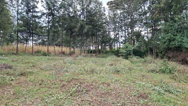 Prime 100 X 100 Plot for Sale: Olkeri - thumbnail 6