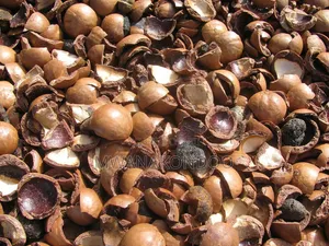 Macadamia Nuts