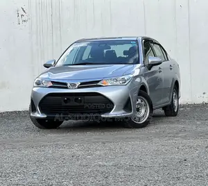 Toyota Axio 1.3 X 2WD 2019 Silver