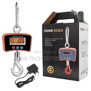 Crane Scale 500kg