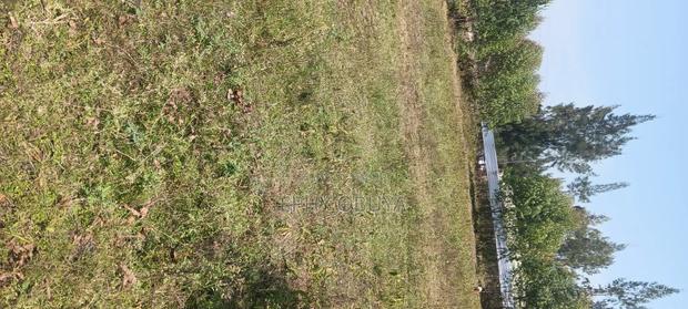Freehold Plot for Sale in Chiga - main view