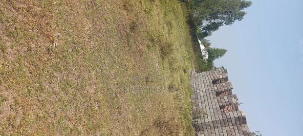 Freehold Plot for Sale in Chiga - thumbnail 2