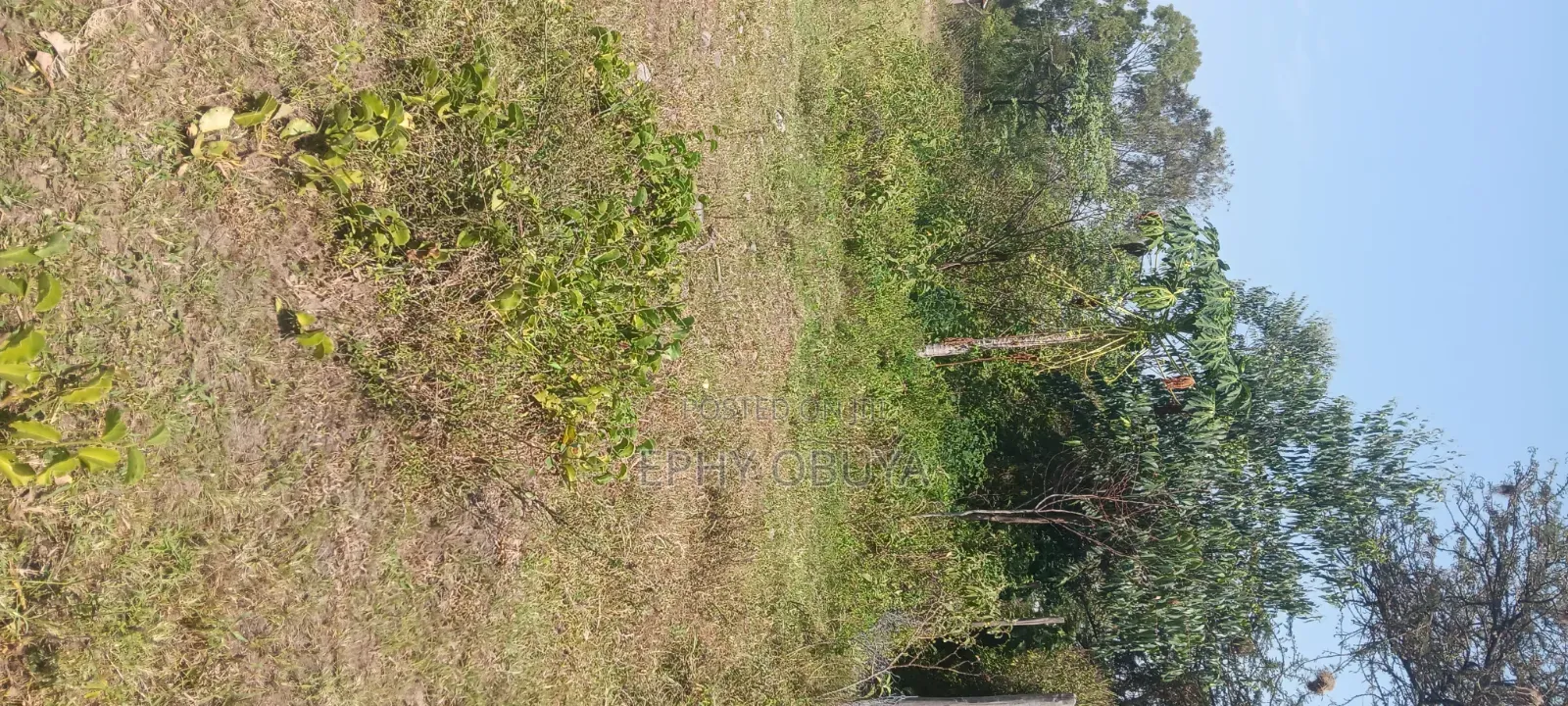 Freehold Plot for Sale in Chiga