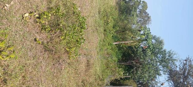 Freehold Plot for Sale in Chiga - thumbnail 3