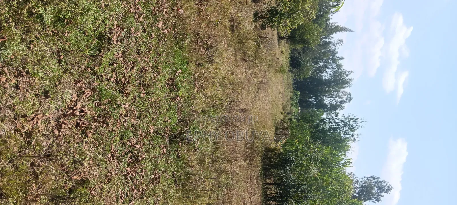 Freehold Plot for Sale in Chiga
