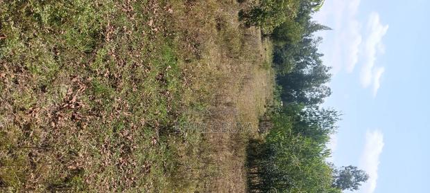 Freehold Plot for Sale in Chiga - thumbnail 4